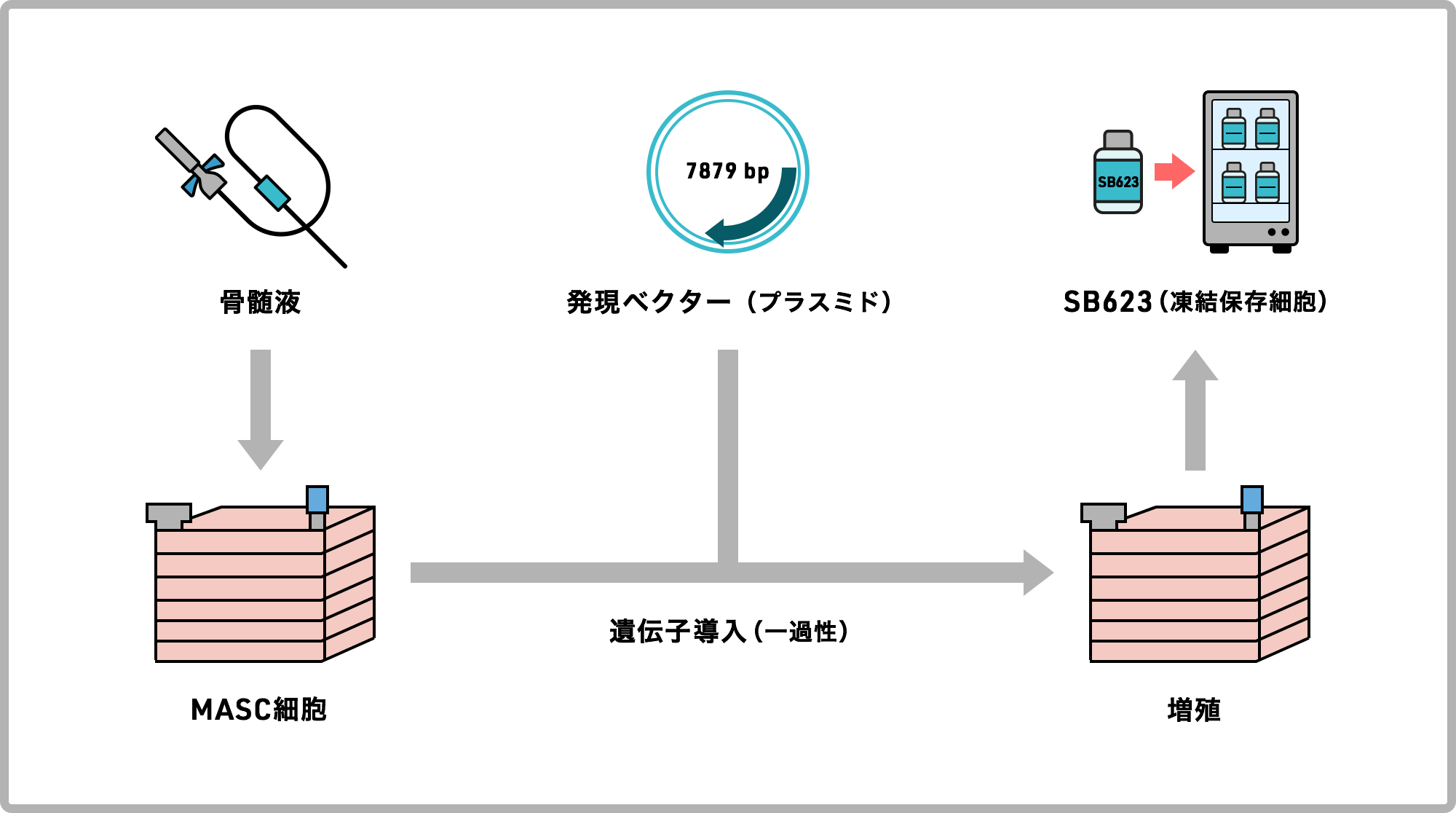 図